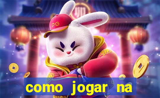 como jogar na lotinha do jogo do bicho